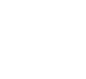 LOGO-ODD-BLANC-transparent-Copie-1